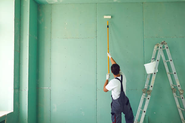 Mold Documentation for Insurance Claims in Junction City, CA