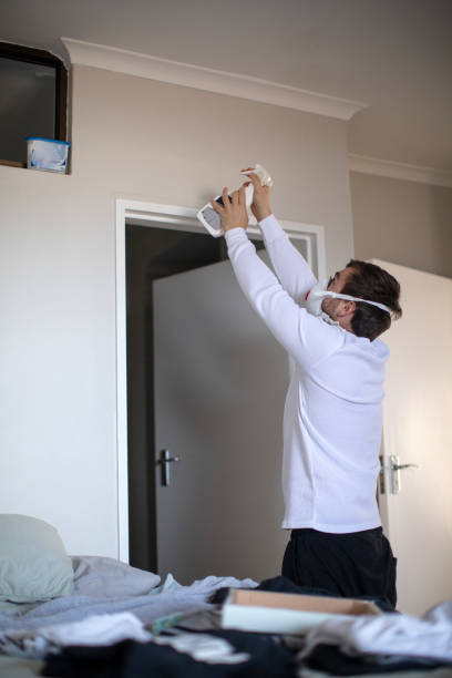 Mold Remediation for Rental Properties in Junction City, CA
