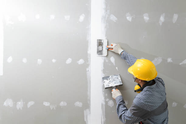 Best Mold-Related Health Consultation  in Junction City, CA