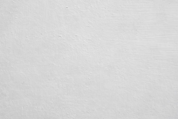 Best Emergency Mold Remediation  in Junction City, CA